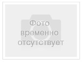 тест